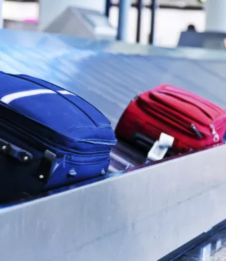 Check In Luggage